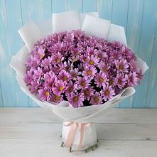 Букет цветов из:  Хризантемы в Тотьме