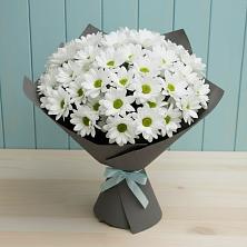 Букет цветов из:  Хризантемы в Тотьме