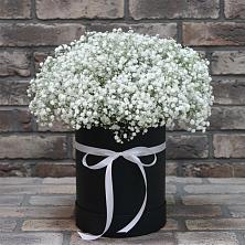 Цветочная композиция из Гипсофила в шляпной коробке в Тотьме